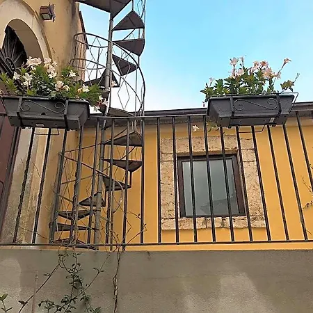 Sotto Le Stelle מלון